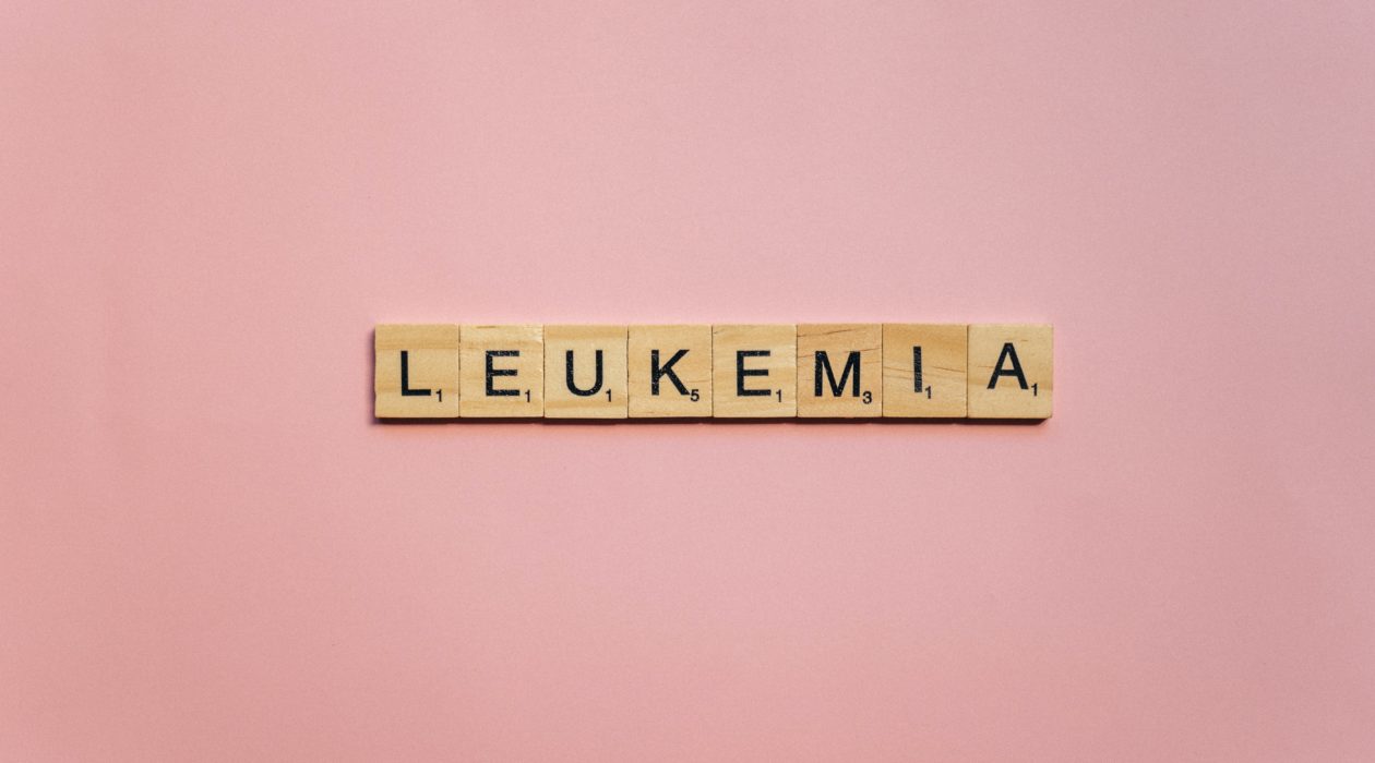 What you need to know about leukemia