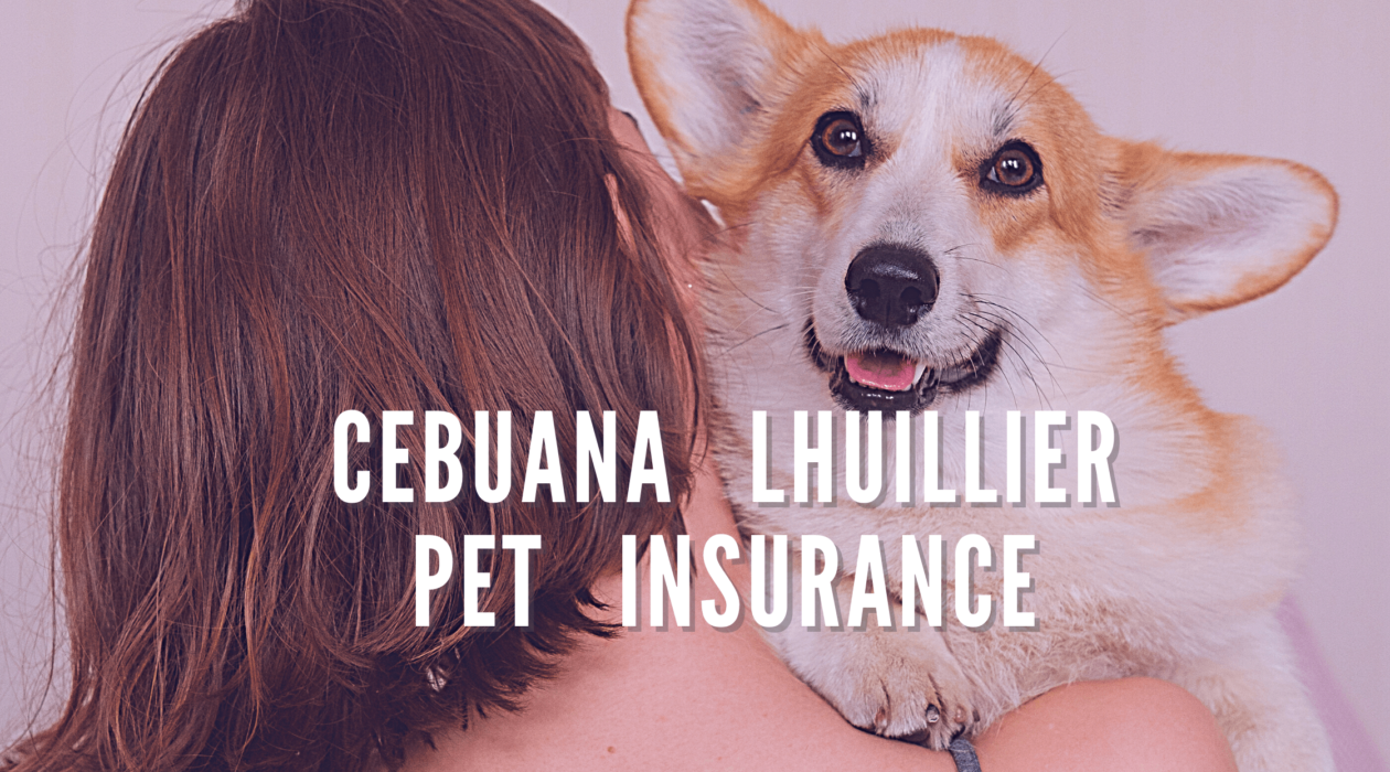 Protect the health of your fur babies with Cebuana Lhuillier Pet Insurance